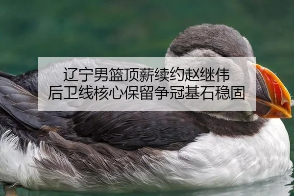 辽宁男篮顶薪续约赵继伟 后卫线核心保留争冠基石稳固 | hth